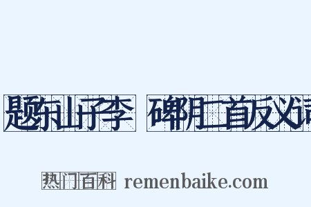 题东山子李適碑阴二首反义词是什么意思的图片